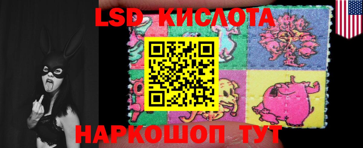 Елизово  ЛСД экстази кислота  ЛСД экстази ecstasy  Вход с VPN 