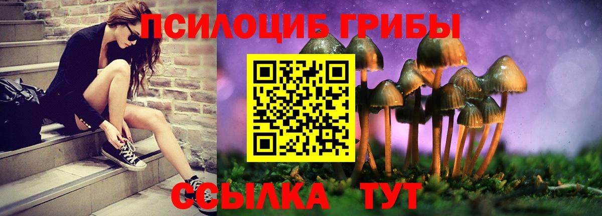 Псилоцибиновые грибы Psilocybe  Вход с VPN  Елизово  Псилоцибиновые грибы прущие грибы 